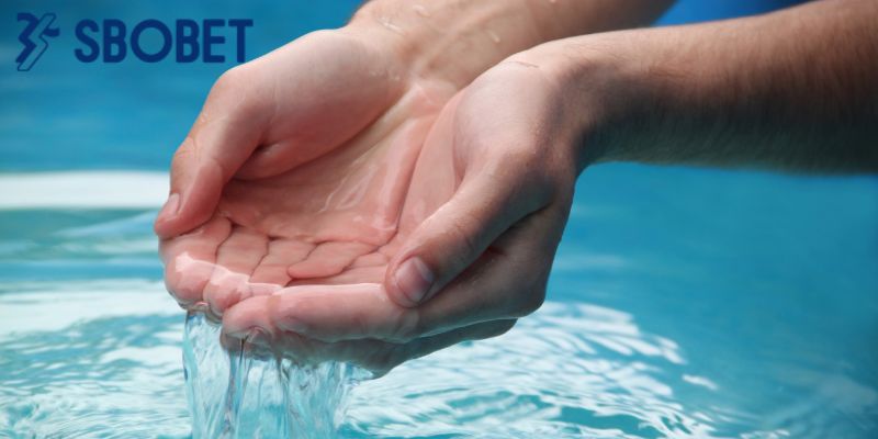 Nước được xem là nguồn gốc của sự sống